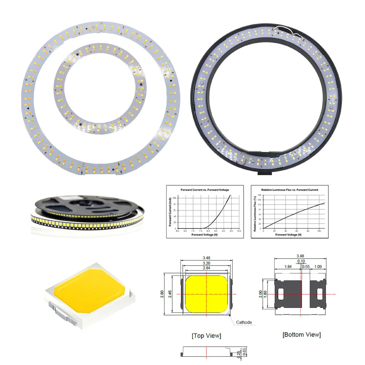 26Cm Video Youtube Fill Ring Light Lamp